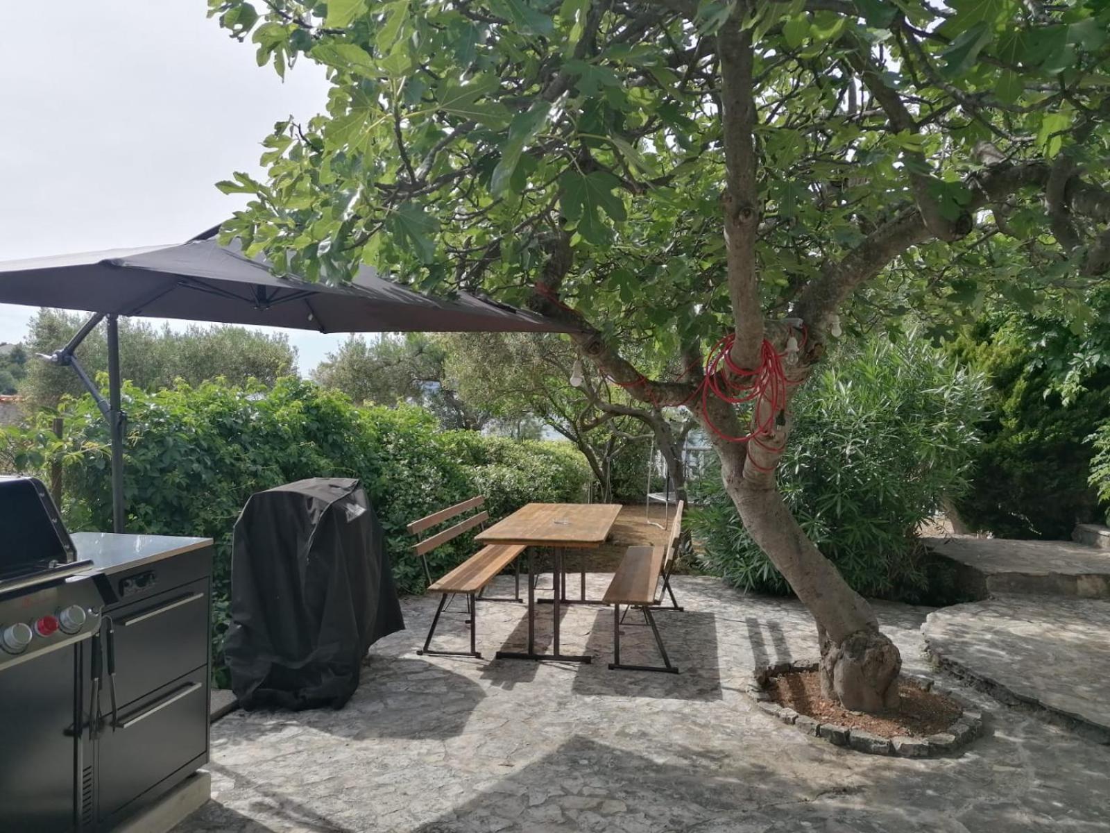 Apartments Villa Julia Trogir Dış mekan fotoğraf